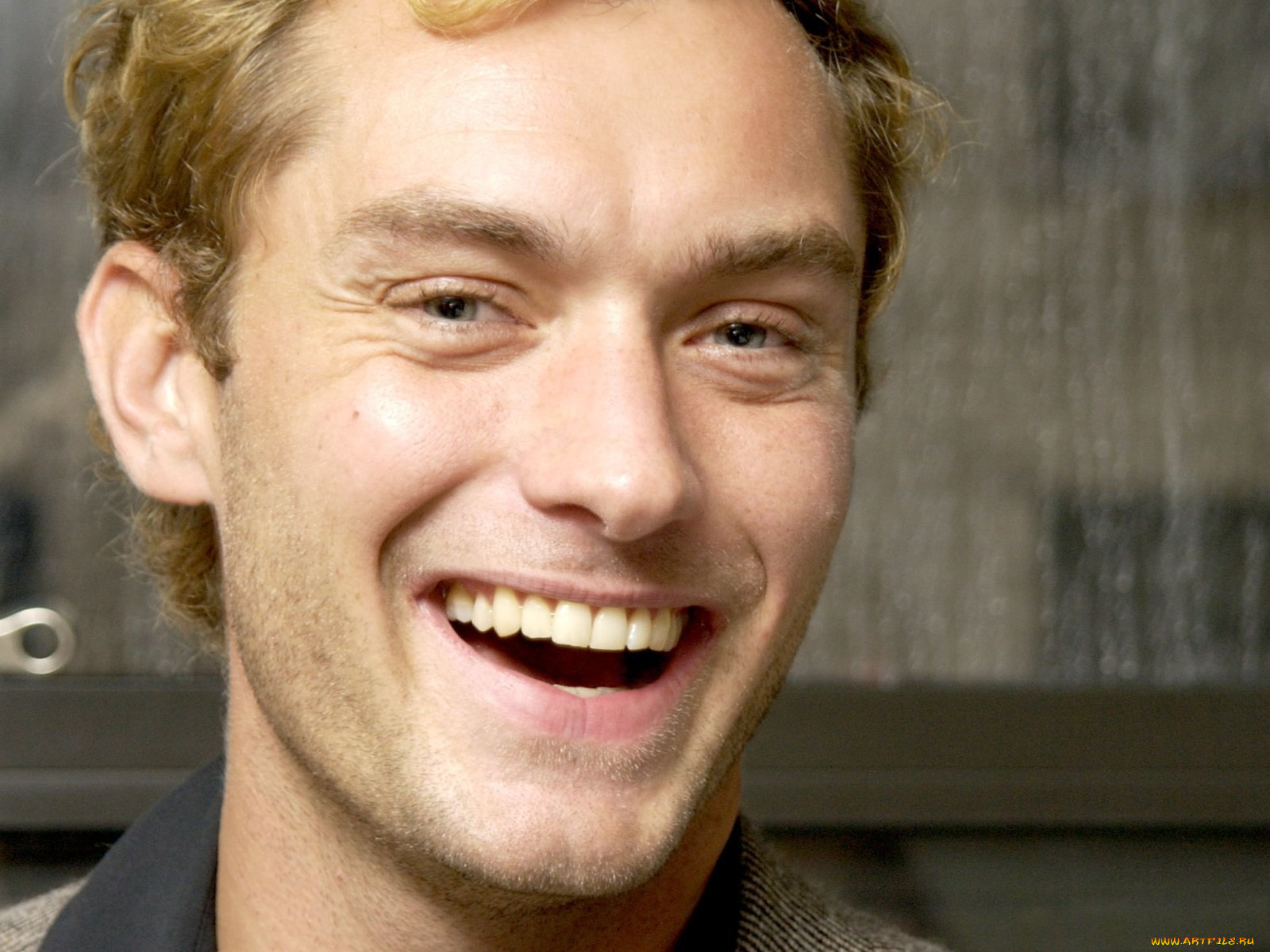 jude, law, 